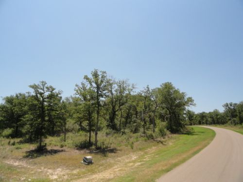 1 Acre Corner Lot with A View : Iola : Grimes County : Texas
