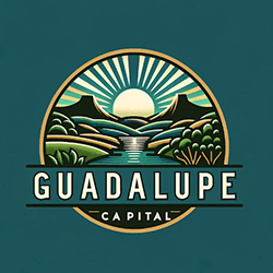 Ryan Ohls @ Guadalupe Capital, LLC