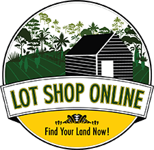 Lot Shop Online
