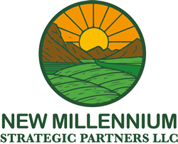 Lloyd Ippolito @ New Millennium Strategic Partners LLC