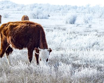 2026 Ag Investment Forecast: Trends Investors Should Know