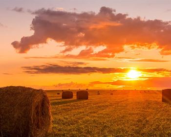 Key Tips for Buying Land in Foreclosure