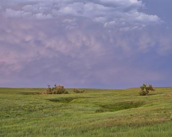 Pulse: Strong Majority Opposes Using Eminent Domain for Private Gain