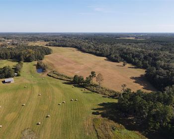 Wright’s Creek Farm: Live, Farm, and Hunt in Alabama