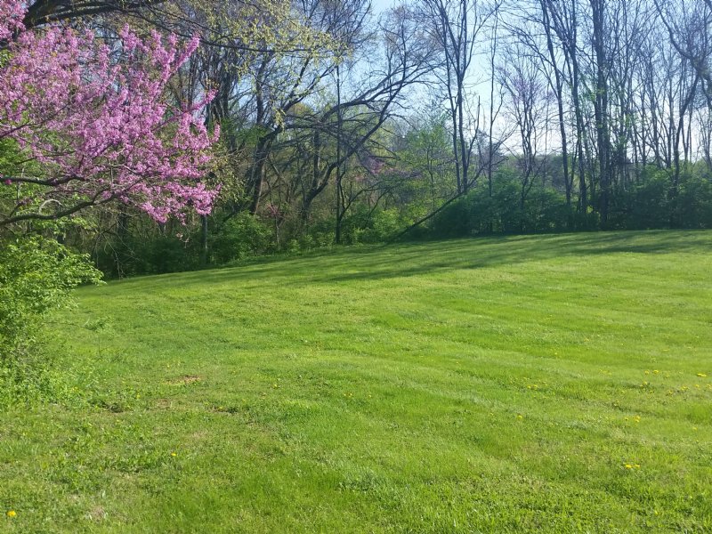 Double Lot in Country Club Area : Morristown : Hamblen County : Tennessee