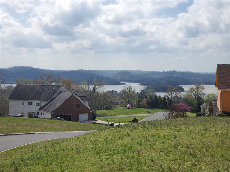 Cherokee Lake View Building Lot : Mooresburg : Hawkins County : Tennessee