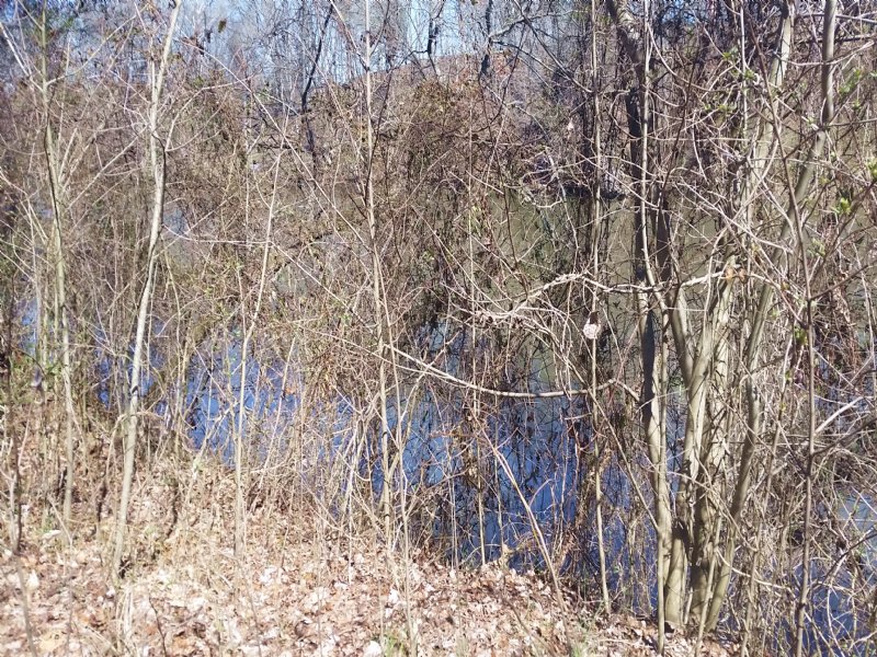 Cleared River Front Lot : Newport : Cocke County : Tennessee