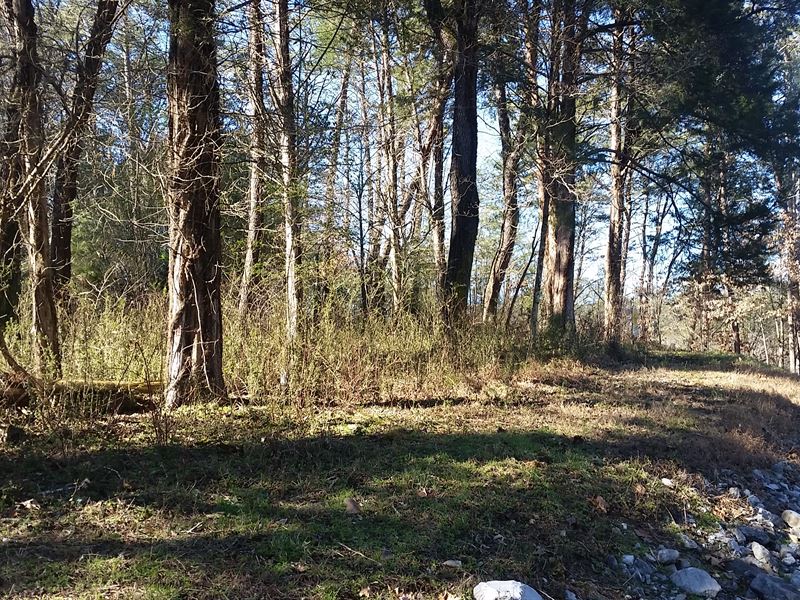 Panoramic Views Of Cherokee Lake : Mooresburg : Hawkins County : Tennessee