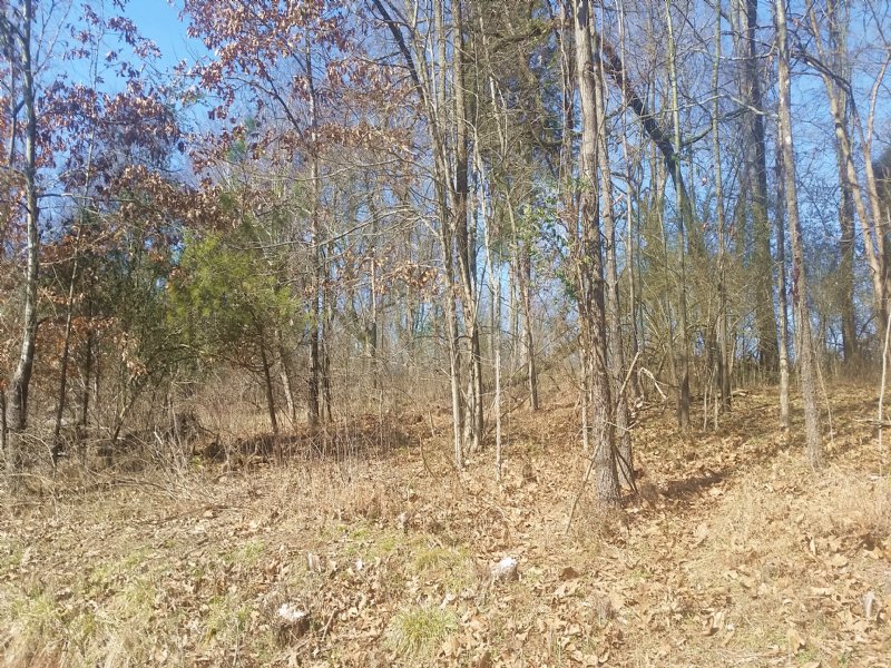 Building Lot, Lake Access : Mooresburg : Hawkins County : Tennessee