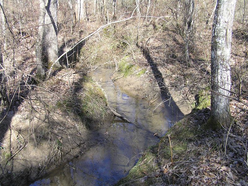 Lake Tansi Resort Lot : Crossville : Cumberland County : Tennessee
