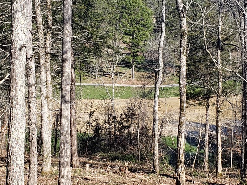 Golf Course Lot with Boat Slip : Tazewell : Claiborne County : Tennessee