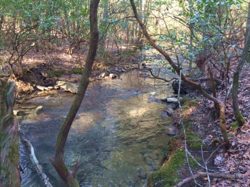 4.98+/- Acres with Year Round Creek : Dunlap : Sequatchie County : Tennessee