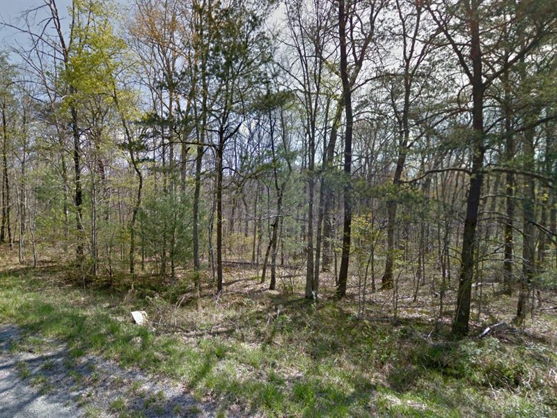 .26 Acres in Crossville, TN : Crossville : Cumberland County : Tennessee