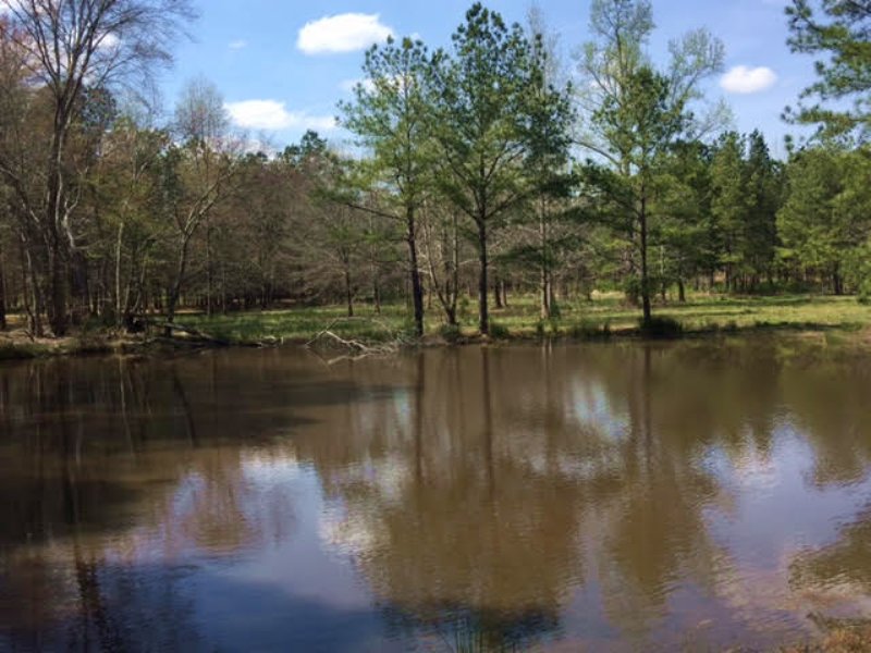 15.797 +/- Acres, 2 Small Ponds : Taylorsville : Bartow County : Georgia