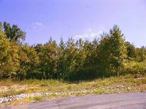 Sledge Farm Subdivision : Bunn : Franklin County : North Carolina