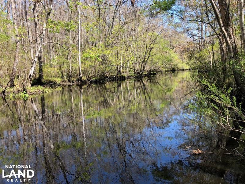 Ashepoo River Private Estate : Walterboro : Colleton County : South Carolina