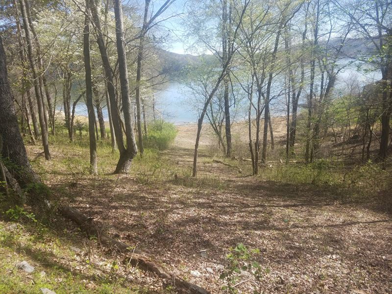 Main Channel Cherokee Lakefront Lot : Mooresburg : Hawkins County : Tennessee