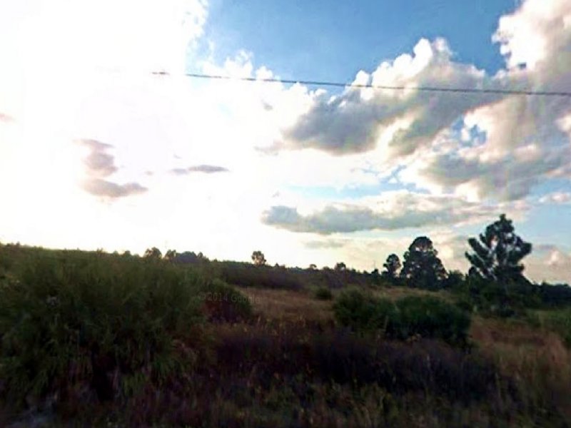 Residential Land for Sale : Lehigh Acres : Lee County : Florida