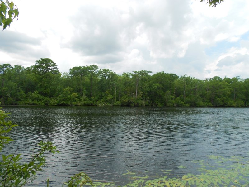 Black River Lot Lot for Sale by Owner in
