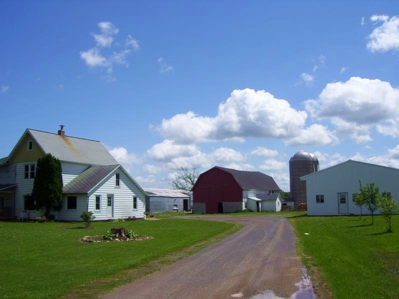 Country Farmette in Central Wi : Arpin : Wood County : Wisconsin