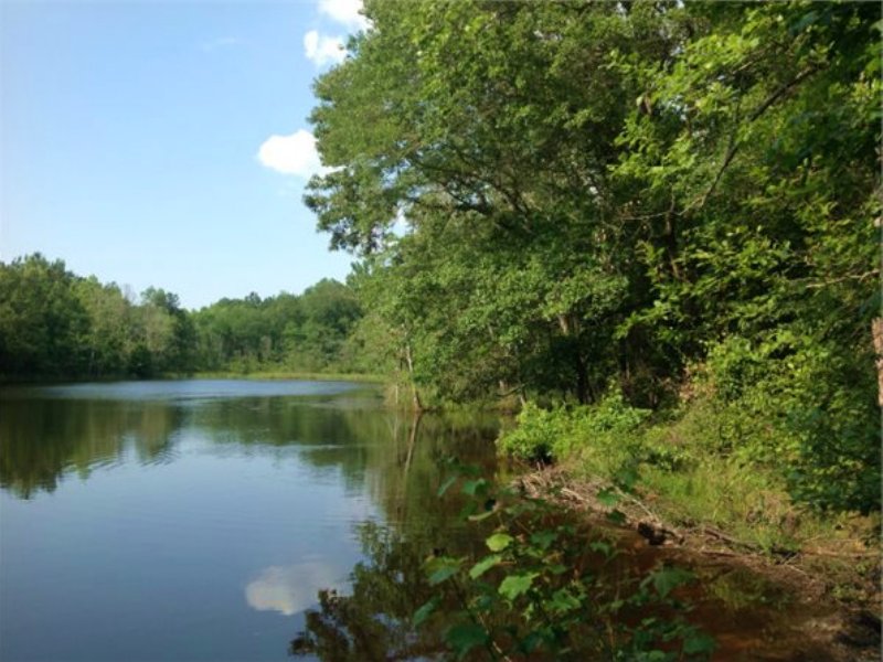 13.5 Acres in Chesterfield, Sc : Mount Croghan : Chesterfield County : South Carolina