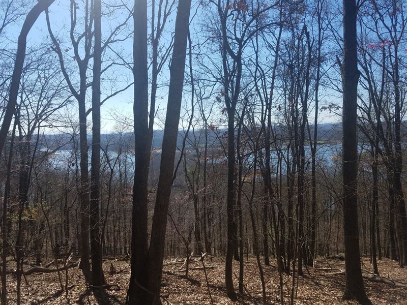 Gorgeous Cherokee Lake Views : Mooresburg : Hawkins County : Tennessee