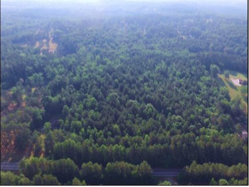 19.99 Acres On Cascade Palmetto Hwy : Palmetto : Fulton County : Georgia