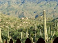 Quiet Canyon Homesite : Tucson : Pima County : Arizona