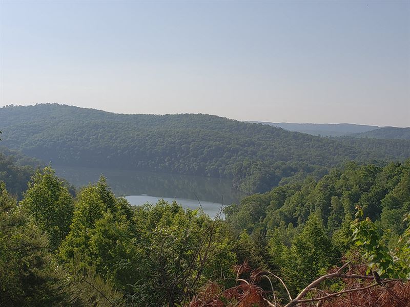 1.94 Acre Lot in Lone Mtn Shores : New Tazewell : Claiborne County : Tennessee