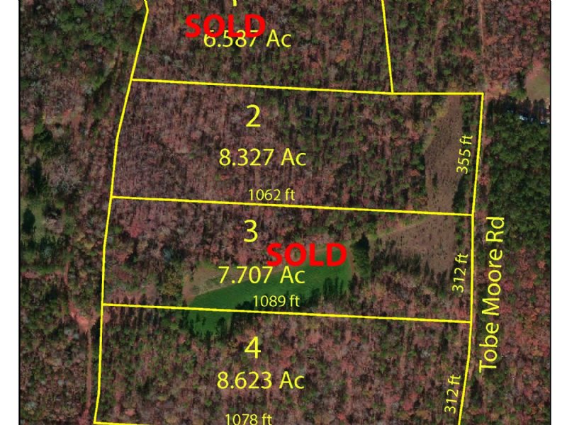 8 Acre Wooded Home Site : Flovilla : Butts County : Georgia