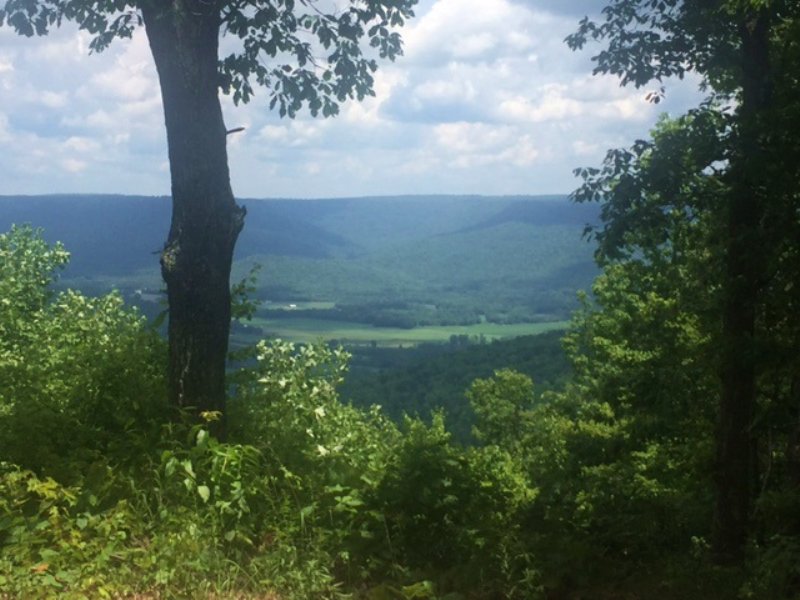7.3+/-acres Sweeping Bluff Views : South Pittsburg : Marion County : Tennessee
