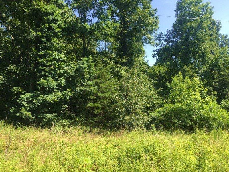 10+/-acres Private Wooded Lot : South Pittsburg : Marion County : Tennessee