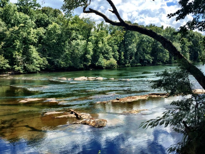 Incredible Manicured River Lot : Macon : Monroe County : Georgia