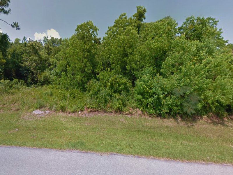 1.25 Acres Surveyed : Deltona : Volusia County : Florida