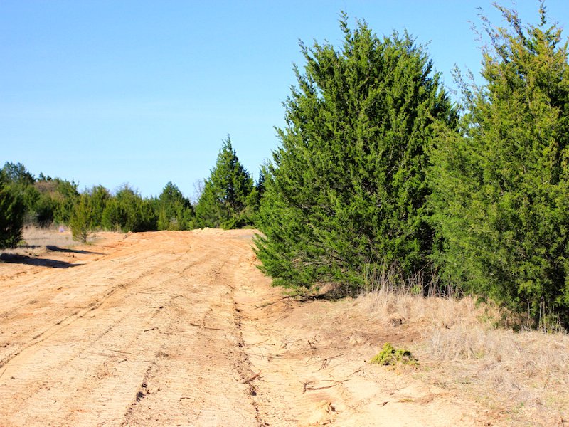 Montgomery Ranch : Marietta : Love County : Oklahoma
