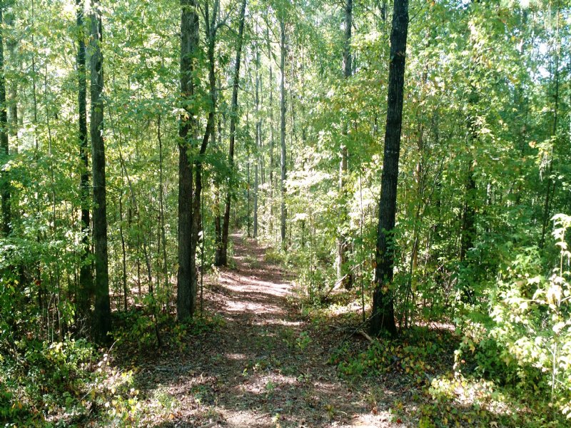 Reduced Rocky Creek Road : Forsyth : Monroe County : Georgia