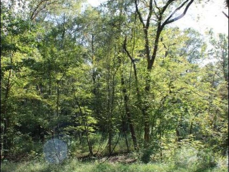 5 Acres in Hinds County On East Flo : Terry : Hinds County : Mississippi