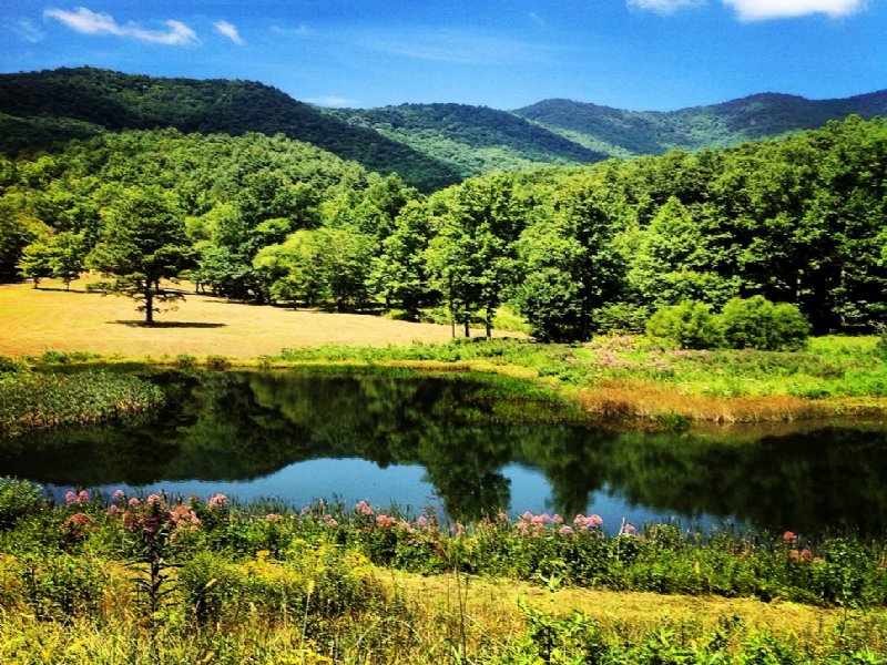 National Forest and Mtn/Lake Site : Hiawassee : Towns County : Georgia