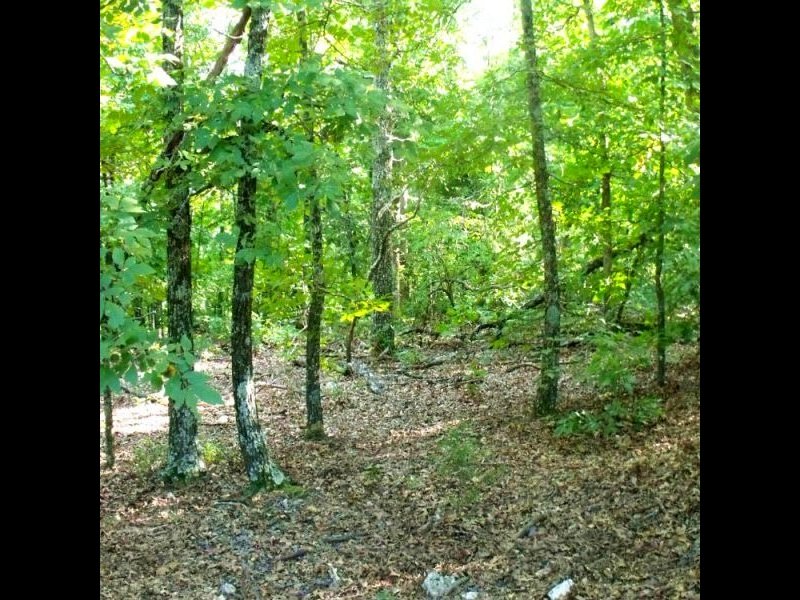 1.13 Acre Building Lot with Electri : Hardy : Sharp County : Arkansas