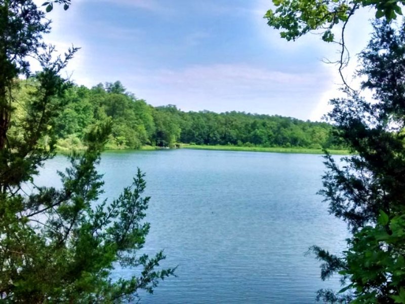 Secluded Land Near Lake : Highland : Sharp County : Arkansas