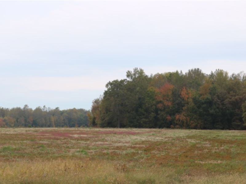 Bell Acres, 1.54 Acre Lot : Morrison : Coffee County : Tennessee