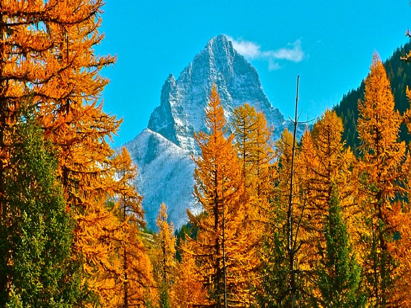Glacier Haven : West Glacier : Flathead County : Montana