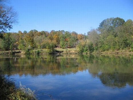 10-50 Acres on the Tallapoosa River : Alexander City : Tallapoosa County : Alabama