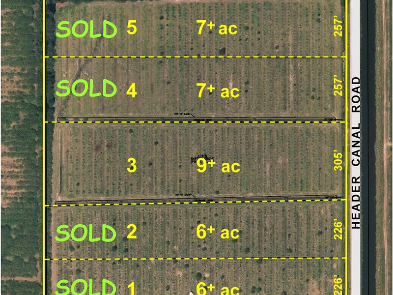 9Ac Laser Leveled Lot On Paved Road : Fort Pierce : Saint Lucie County : Florida