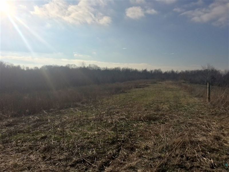 9 Acres in Green County, Ky : Hardyville : Green County : Kentucky