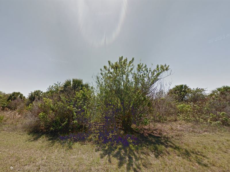 Vacant 0.23 Acre Lot for Sale : Port Charlotte : Charlotte County : Florida