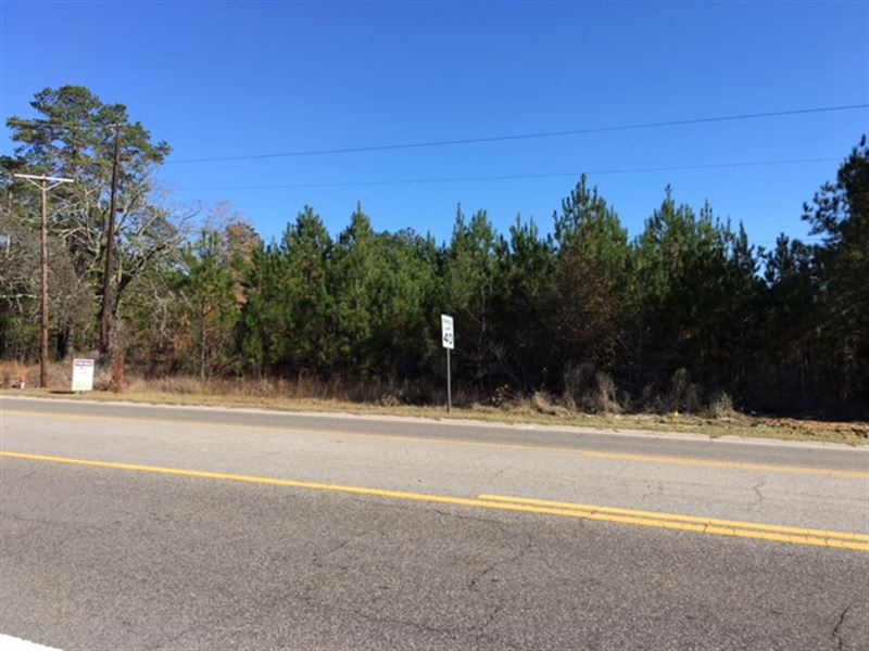 Commercial Land On Hwy 13 N : Columbia : Marion County : Mississippi