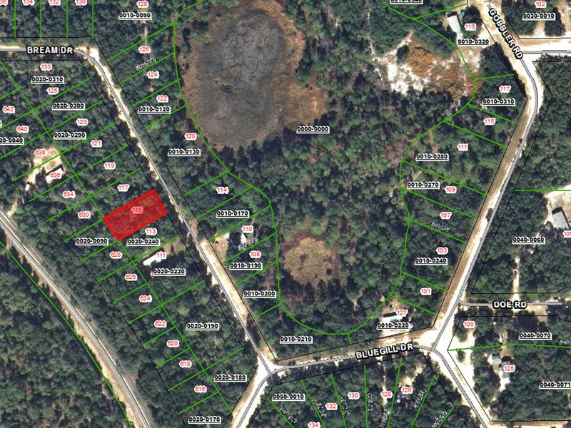 Land Sale, Financing Available 6 : Interlachen : Putnam County : Florida