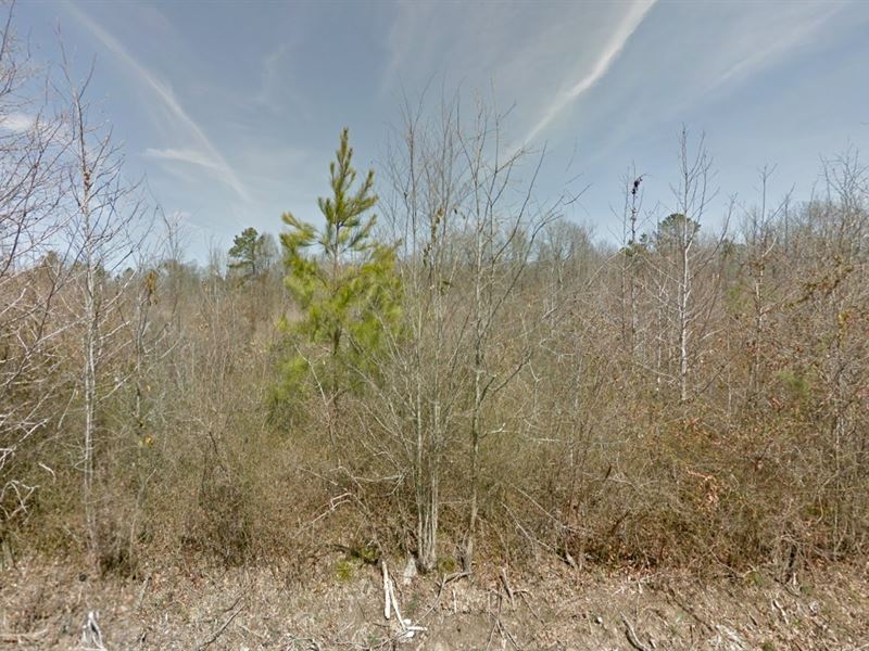 Mobile Home Land for Sale : Pine Bluff : Jefferson County : Tennessee