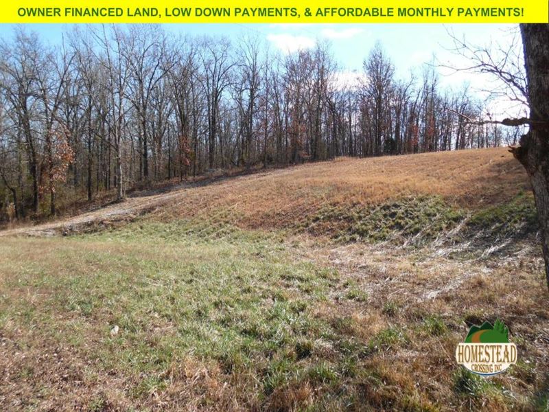11 Acre Build Site with Electric : Pomona : Howell County : Missouri